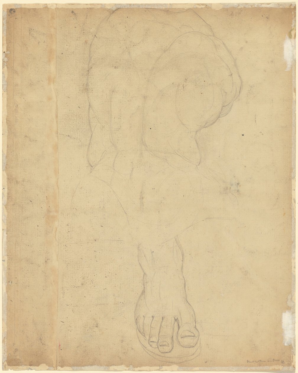El torso del Belvedere [verso] de William Blake