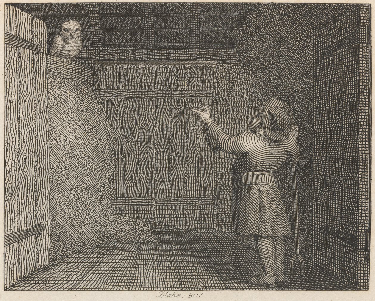 El búho y el granjero de William Blake