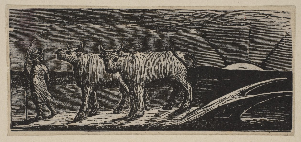 Novillas sin yugo, holgazaneando hacia casa, de Pastorales de Virgilio de Thornton, 1821 de William Blake