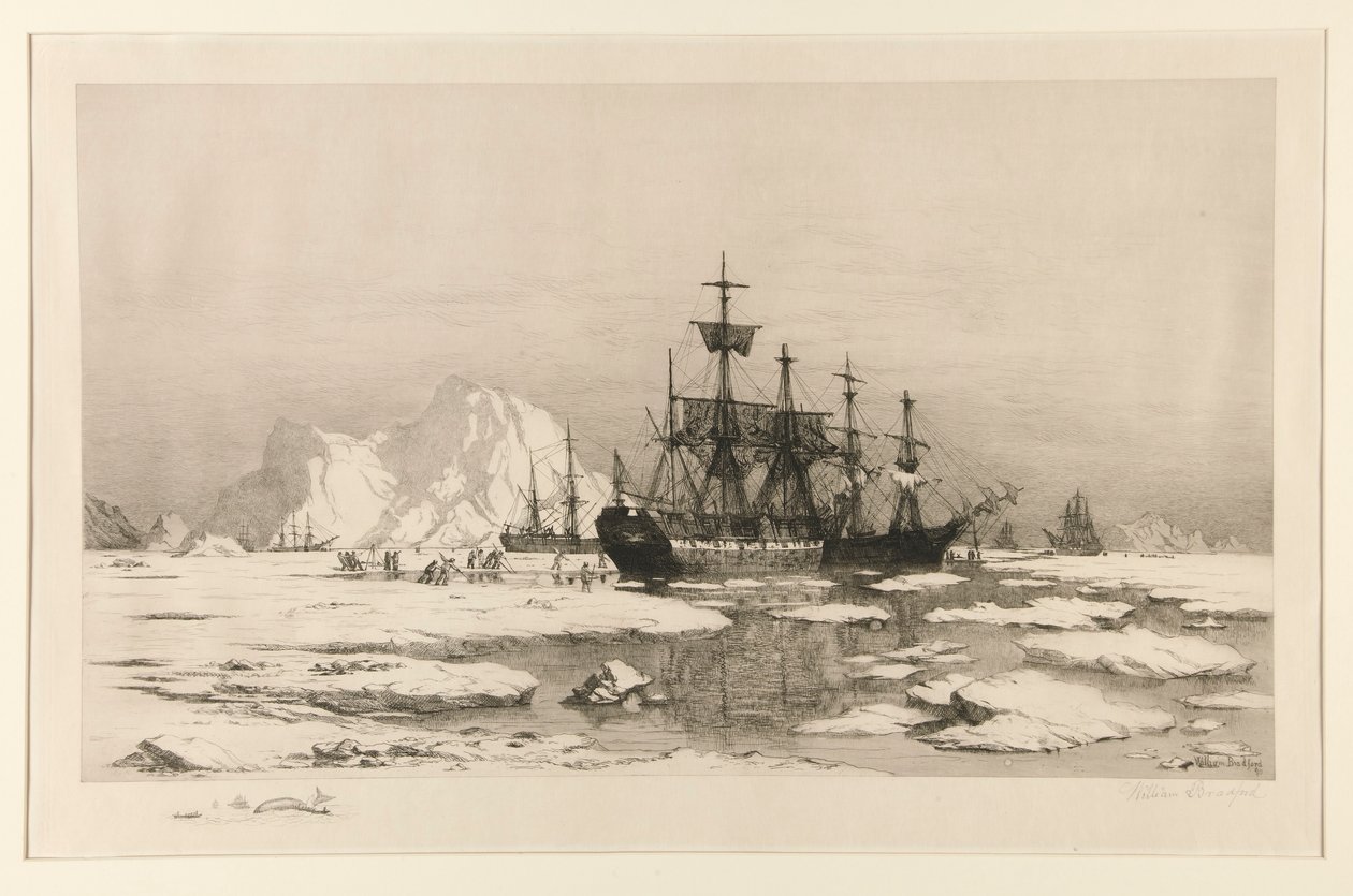 Selladores en el Ártico, después de la pintura: Entre los témpanos de hielo, 1875 de William Bradford