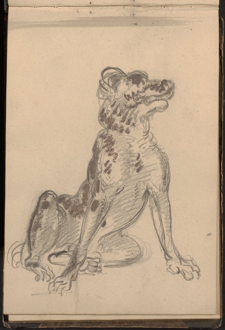 Retrato de un perro de William Brockedon