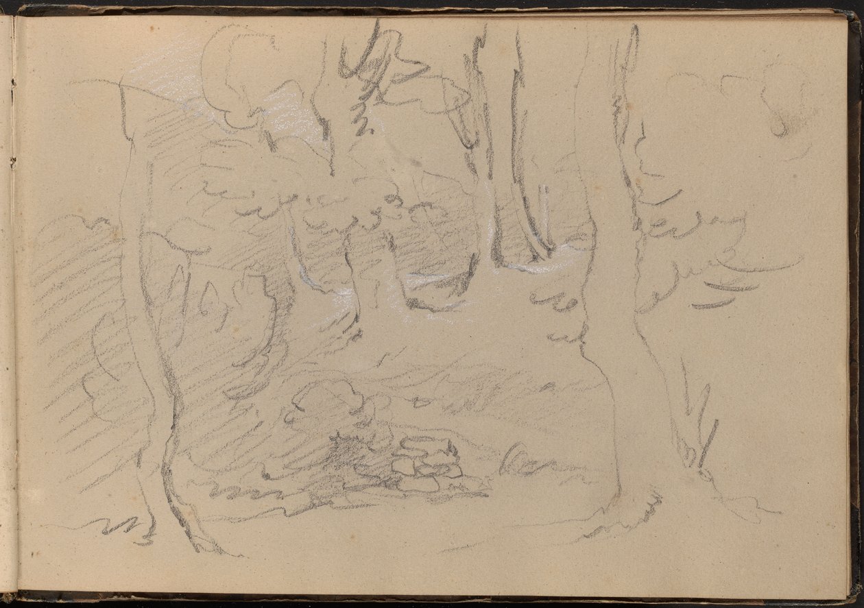 Bosquejo de un grupo de árboles de William Brockedon
