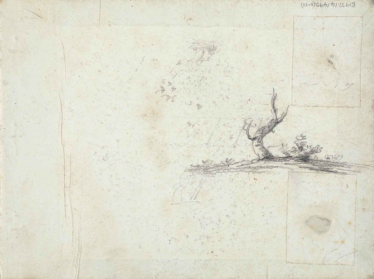 interior de la portada: Bosquejo de un árbol (invertido) de William Brockedon
