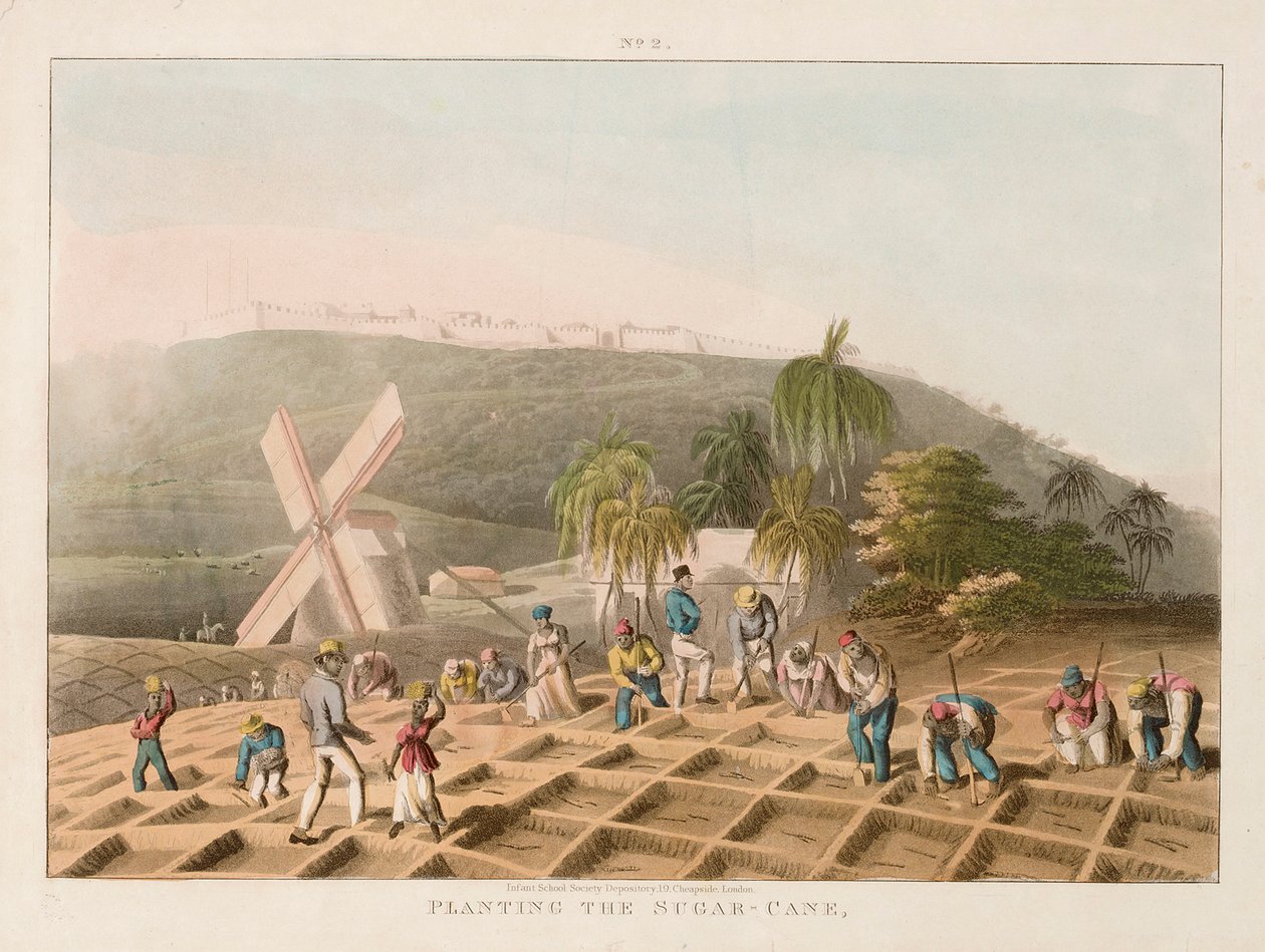 Plantación de la caña de azúcar, hacia 1820 (grabado coloreado) de William Clark