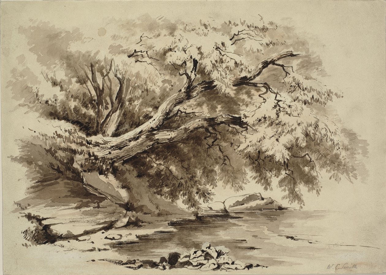 Paisaje con árboles colgando sobre un lago de William Collingwood Smith