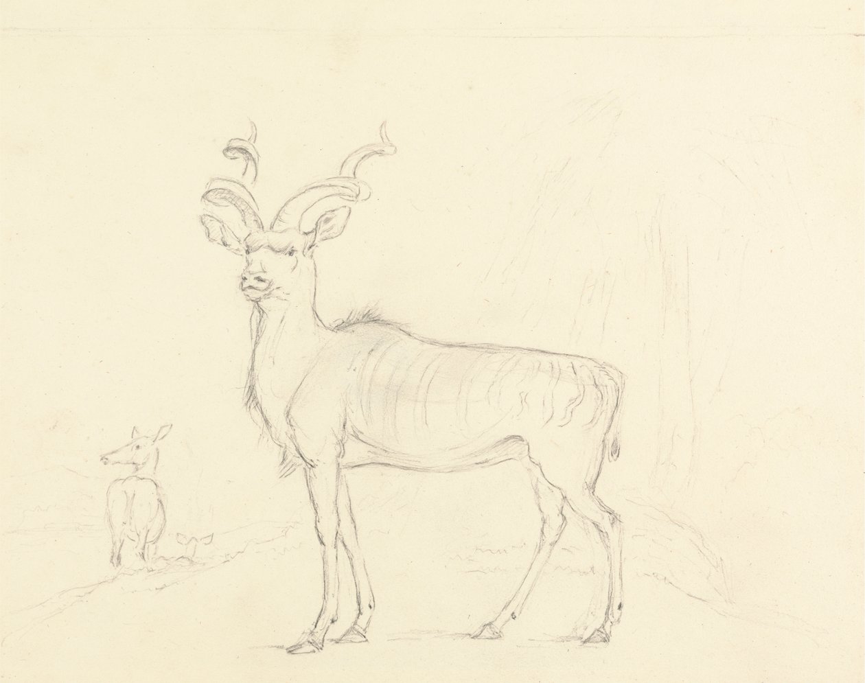 El Koodoo de William Daniell