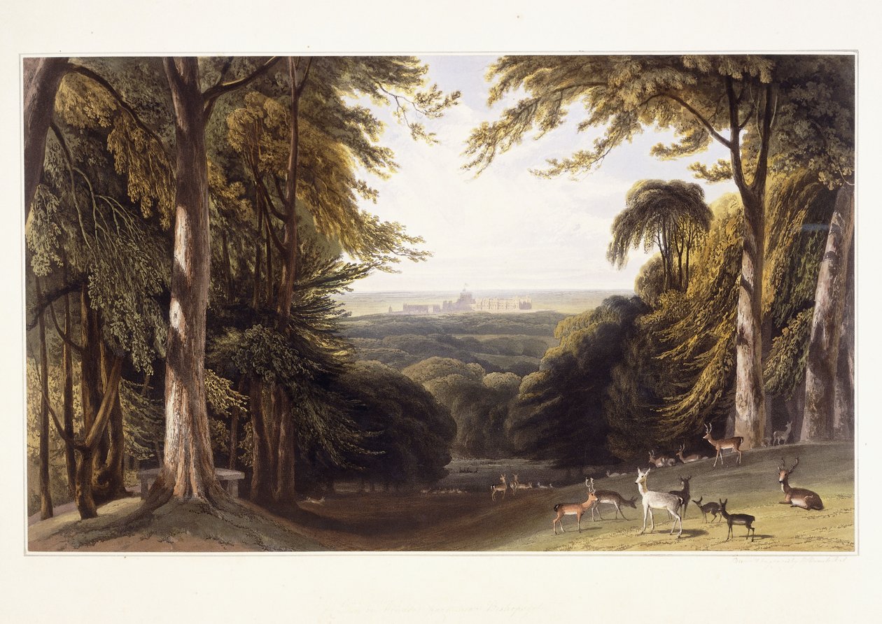 Castillo de Windsor desde el parque de ciervos, c.1827-1829 de William Daniell