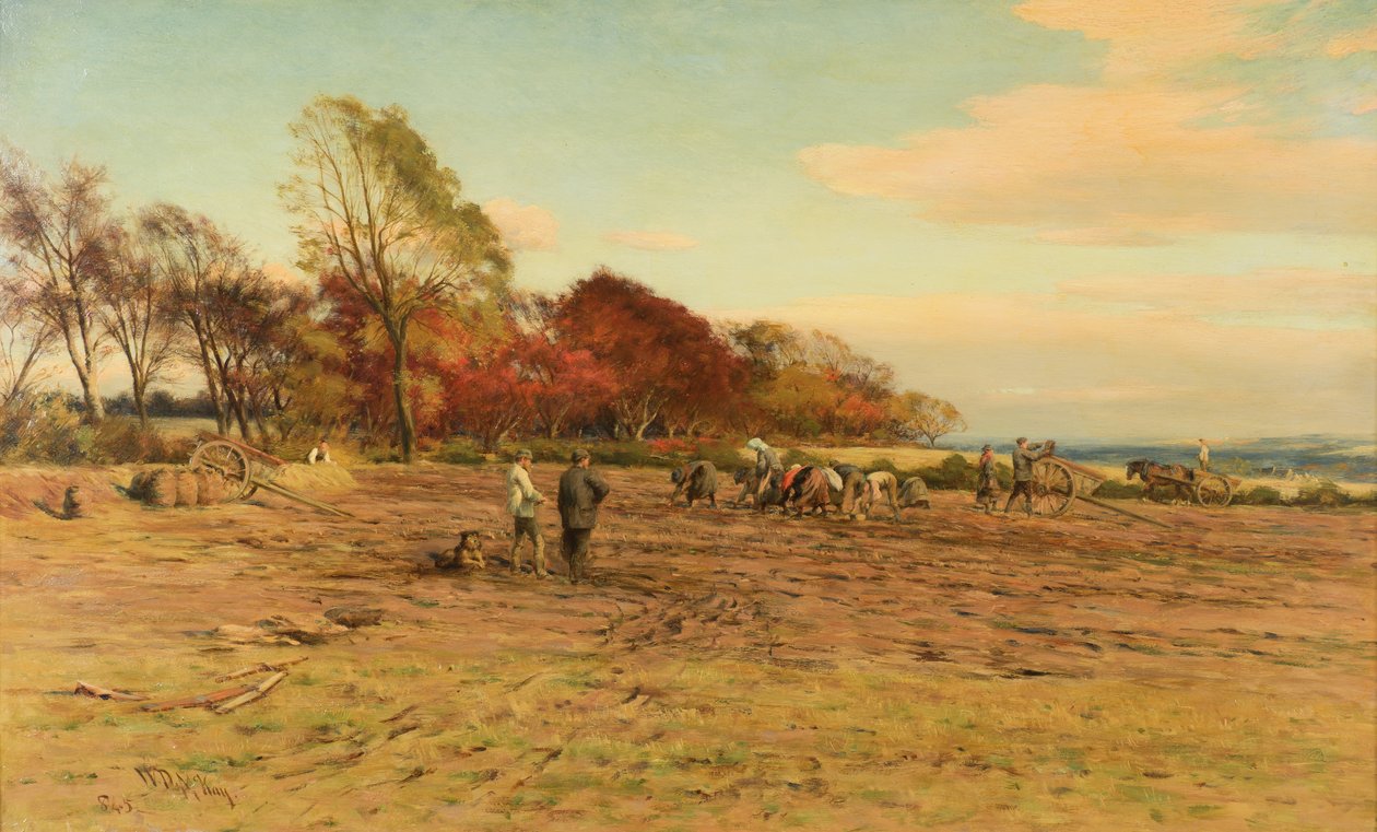Recogiendo patatas de William Darling McKay