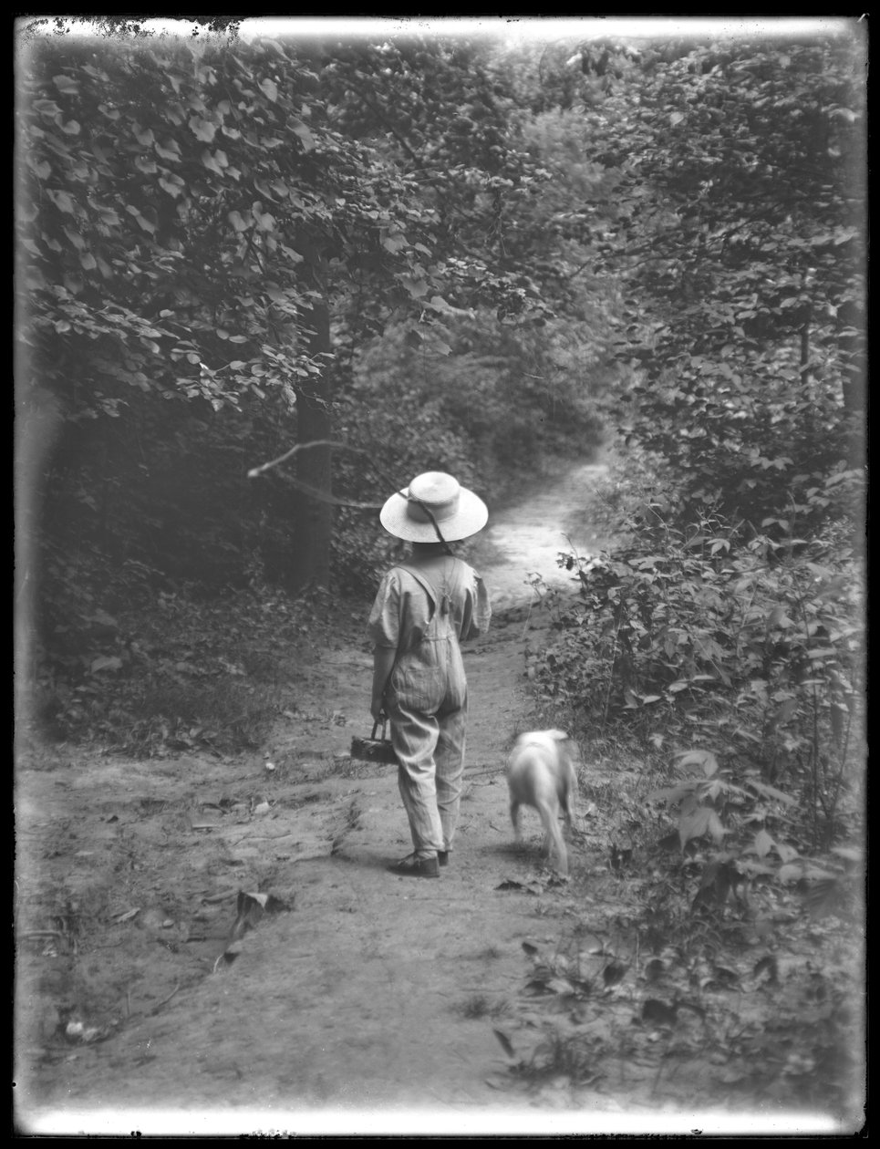 William Gray Hassler con sombrero de paja y overol, llevando una caña de pescar y una cesta, caminando por un sendero en el bosque con un perro pequeño (Bessie), 20 de agosto de 1911 de William Davis Hassler