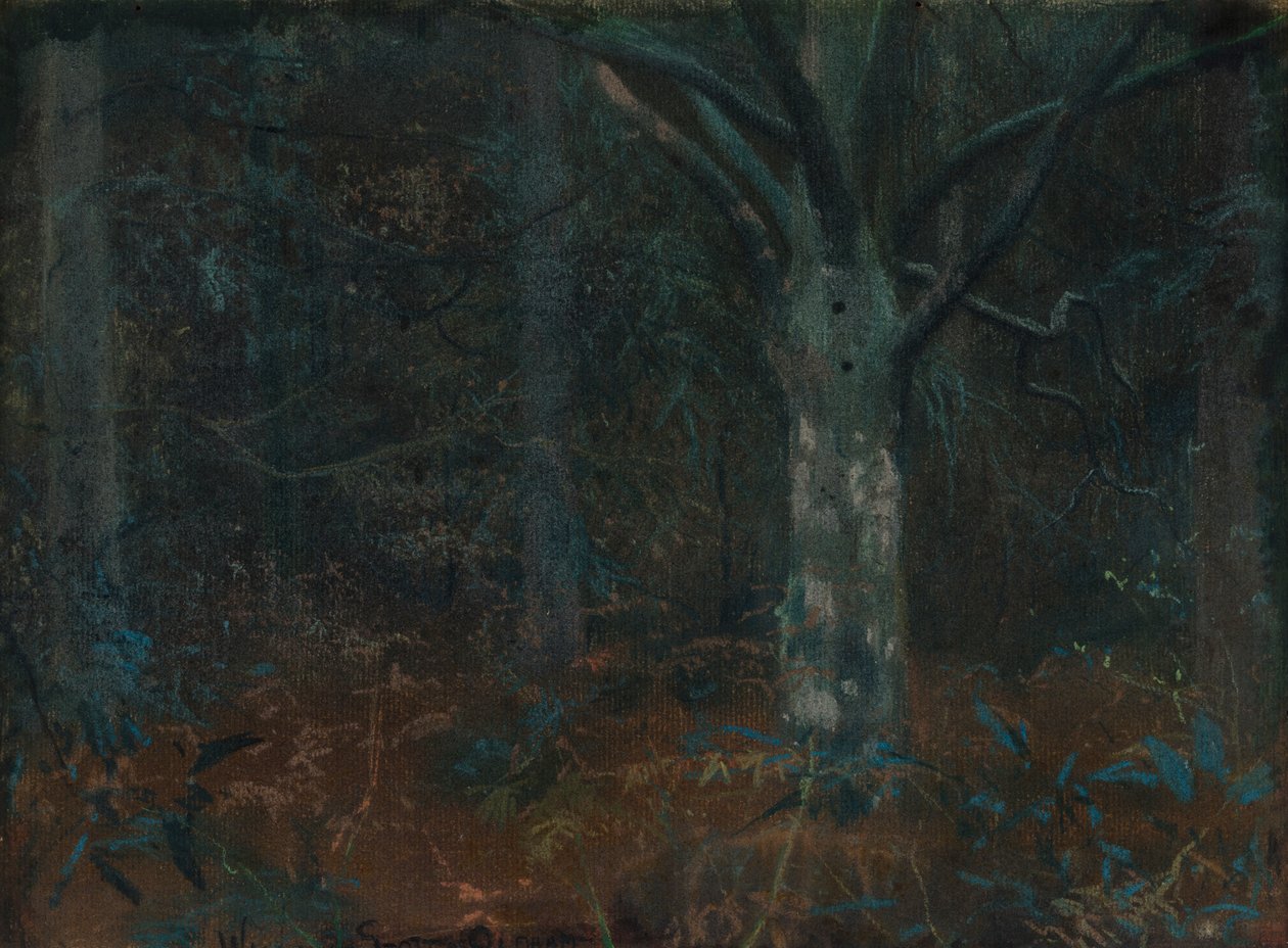 Viejo Sicomoro de William Edward Stott