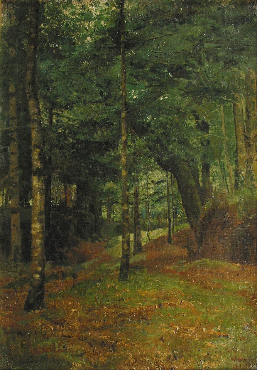 Estudio del Sol Brillando a Través de los Árboles, Concarneau de William Edward Stott
