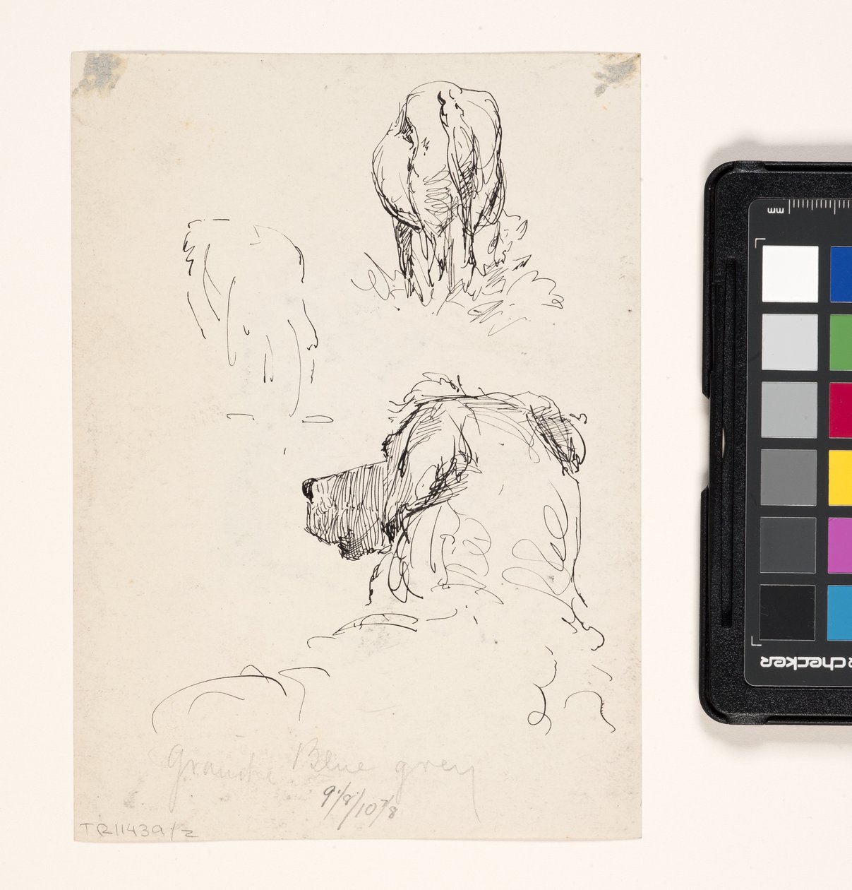 Perro (anverso), perro y vaca (reverso) (pluma y tinta sobre papel crema) de William Forsyth