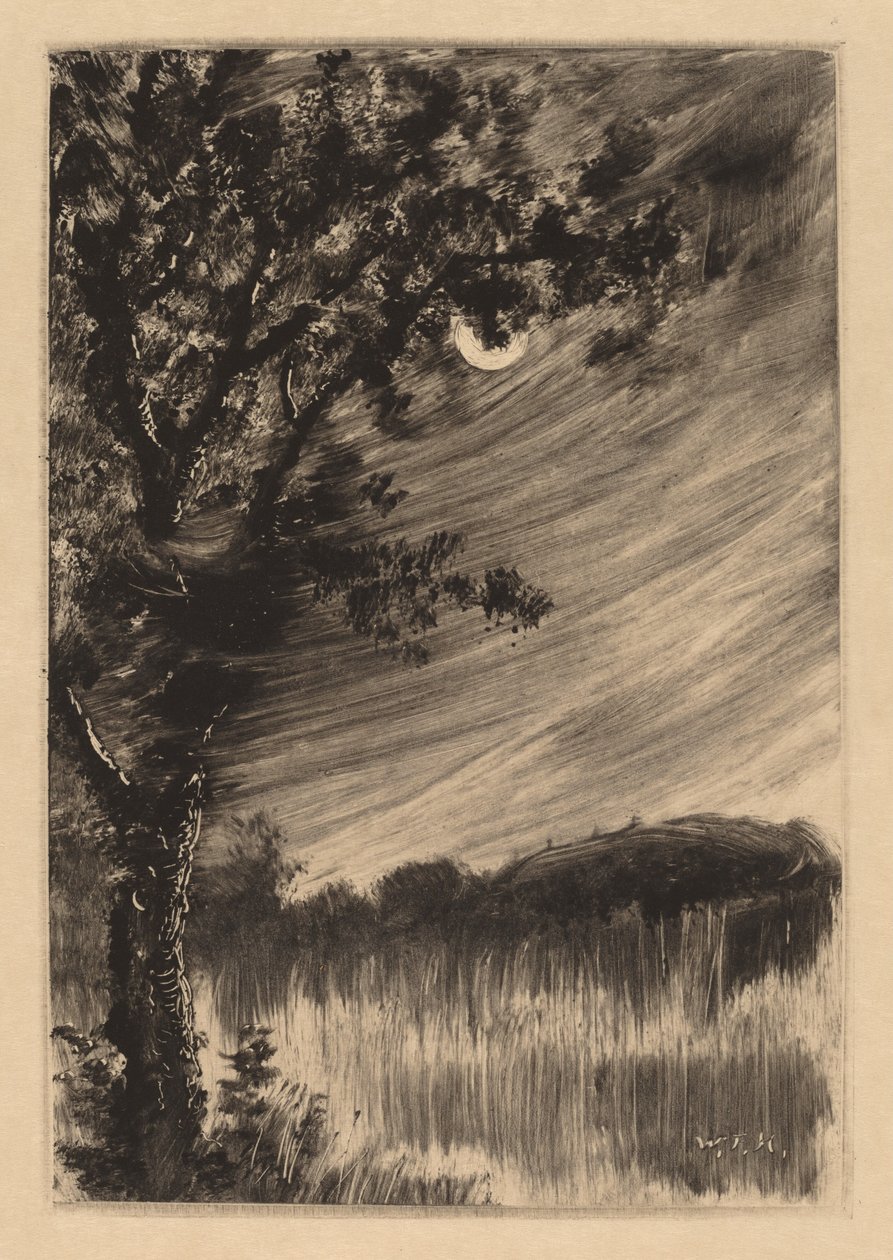 Paisaje a la luz de la luna con árbol a la izquierda de William Fowler Hopson