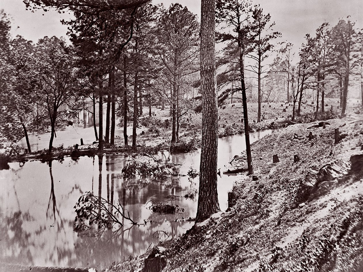 Broadway Landing, Río Appomattox de William Frank Browne