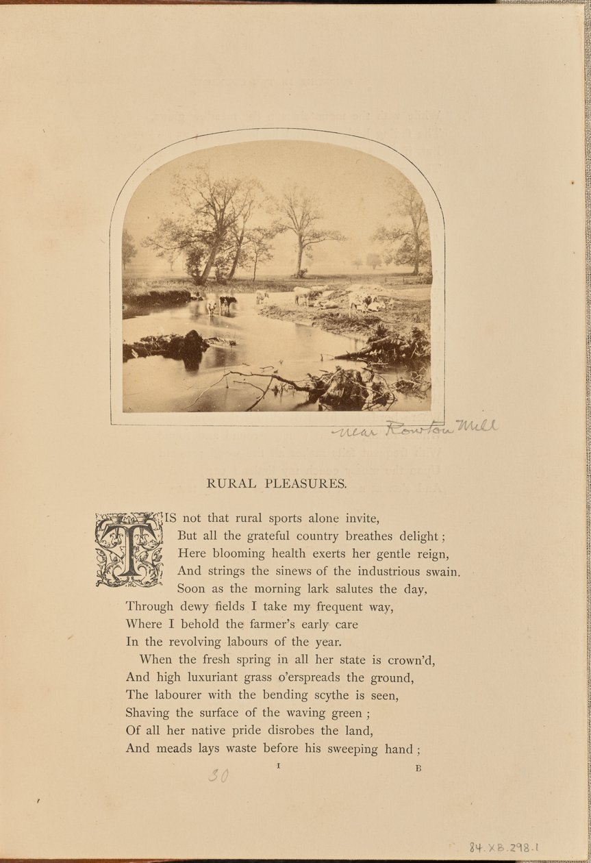 [Escena pastoral con ganado en un campo inundado, Inglaterra] de William Grundy