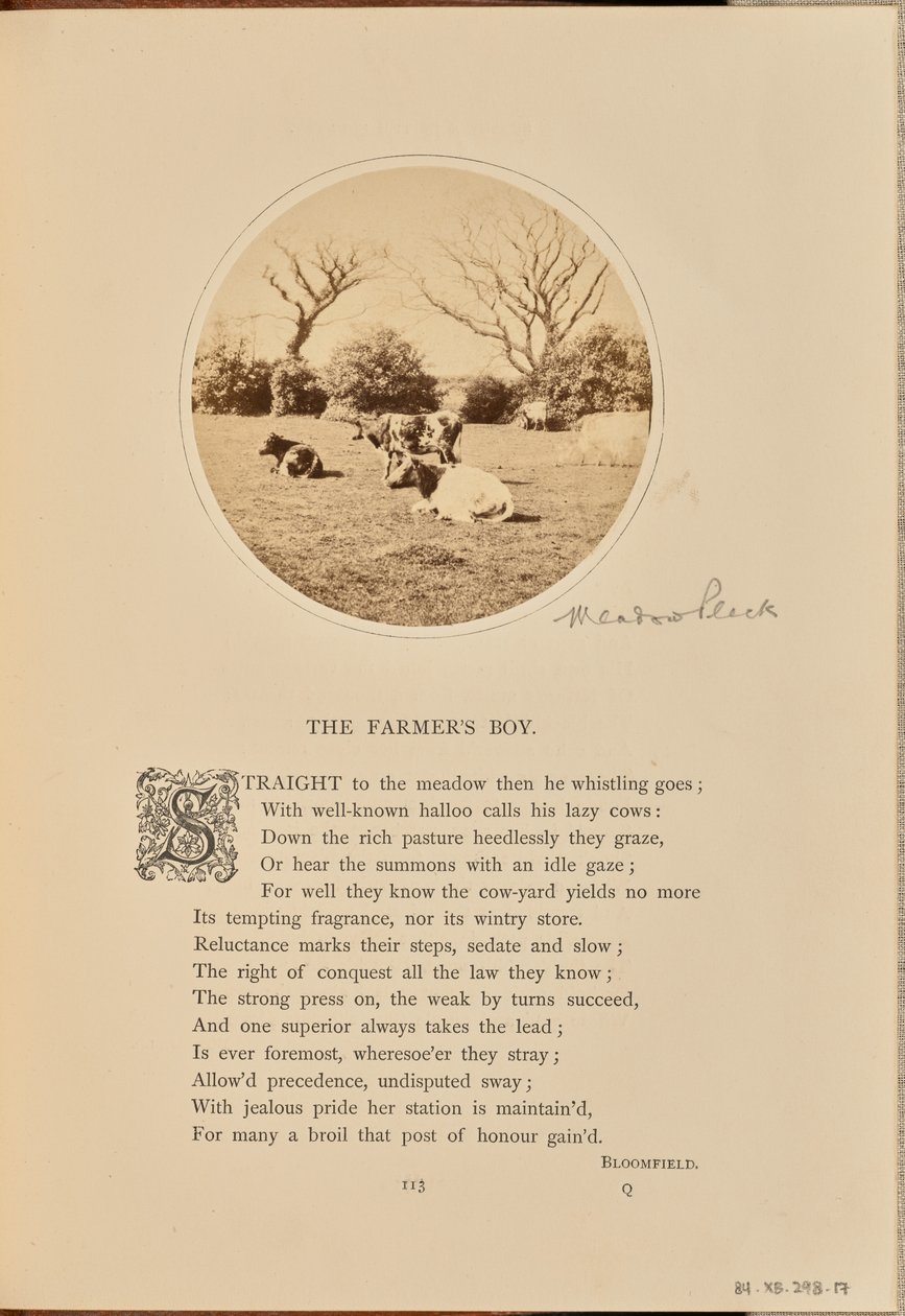 [Escena pastoral con ganado descansando en un campo, Inglaterra] de William Grundy