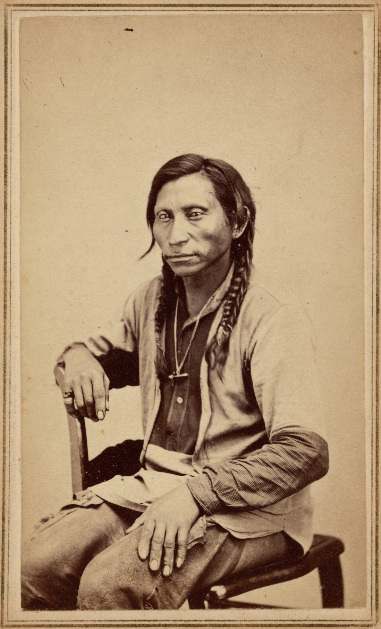 Lobo gris,1860s (foto) de William Gunnison Chamberlain