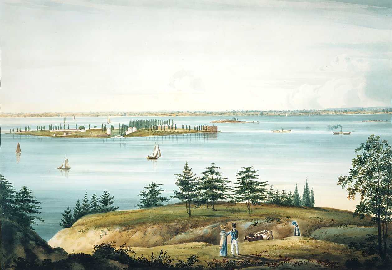La bahía de Nueva York y la isla de los Gobernadores tomada desde Brooklyn Heights de William Guy Wall