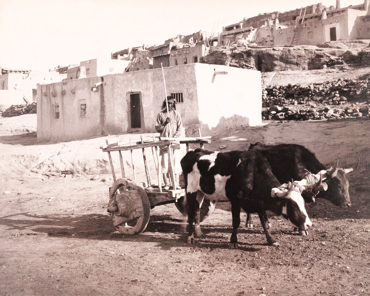 La Carreta Vieja, Laguna, Nuevo México de William H. Jackson