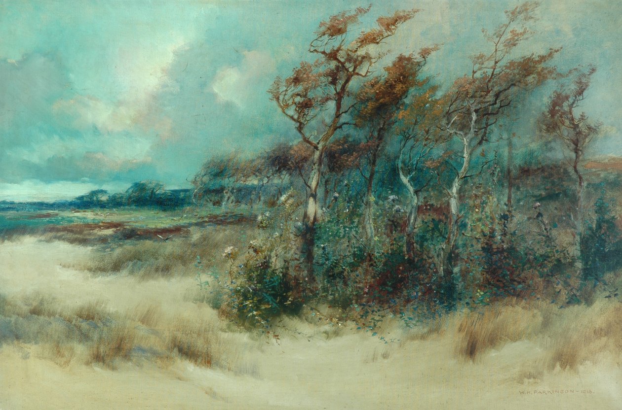 Árboles en un camino arenoso, Heysham, 1916 de William H. Parkinson