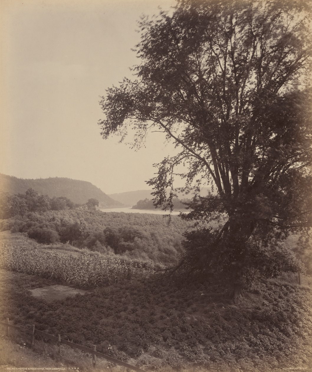 Pintoresco Susquehanna, cerca de Laceyville de William H. Rau