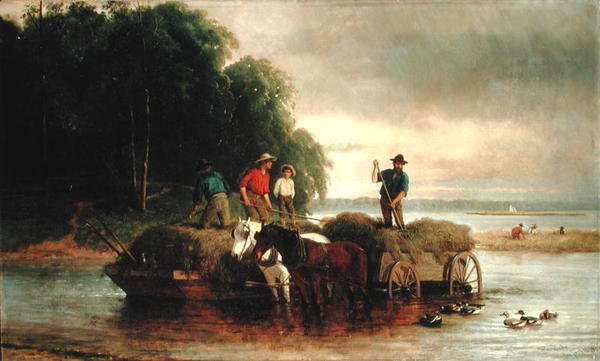 Recolección de juncos, río Shrewsbury, Nueva Jersey de William Hahn