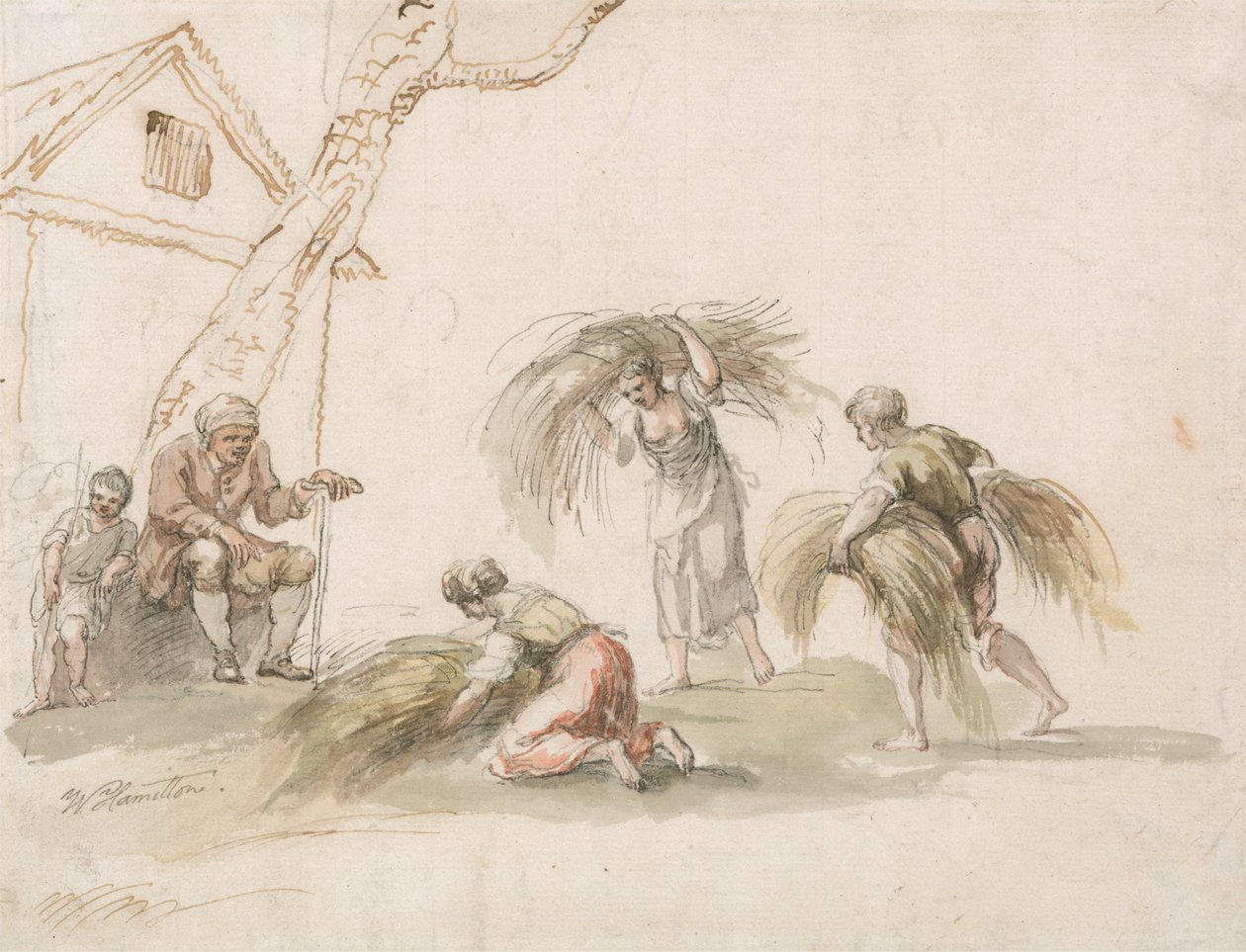 Cifras Recogida de William Hamilton