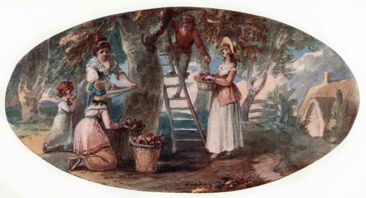 Recolección de frutas, finales del siglo XVIII de William Hamilton