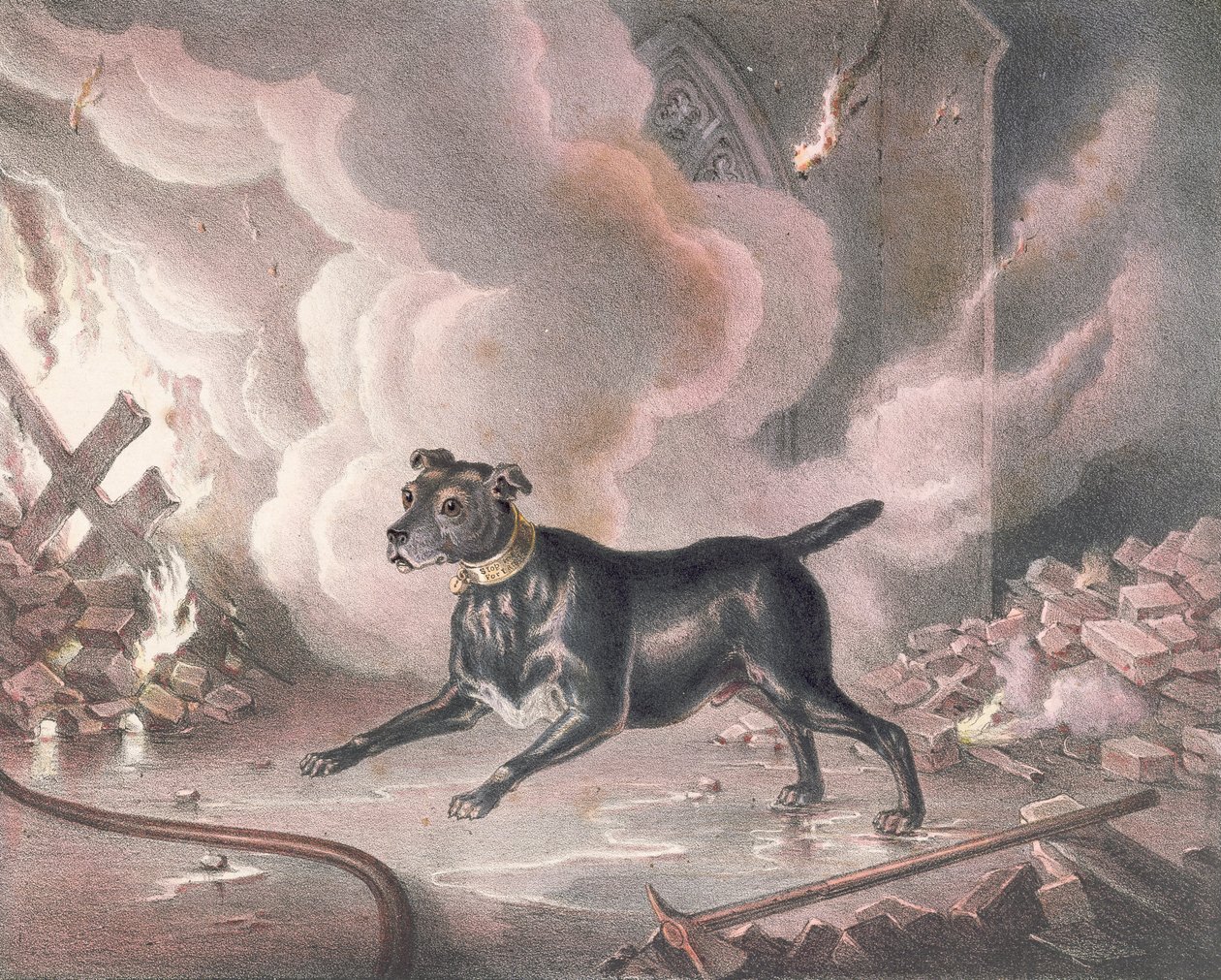 El perro del bombero de Londres de William Heath