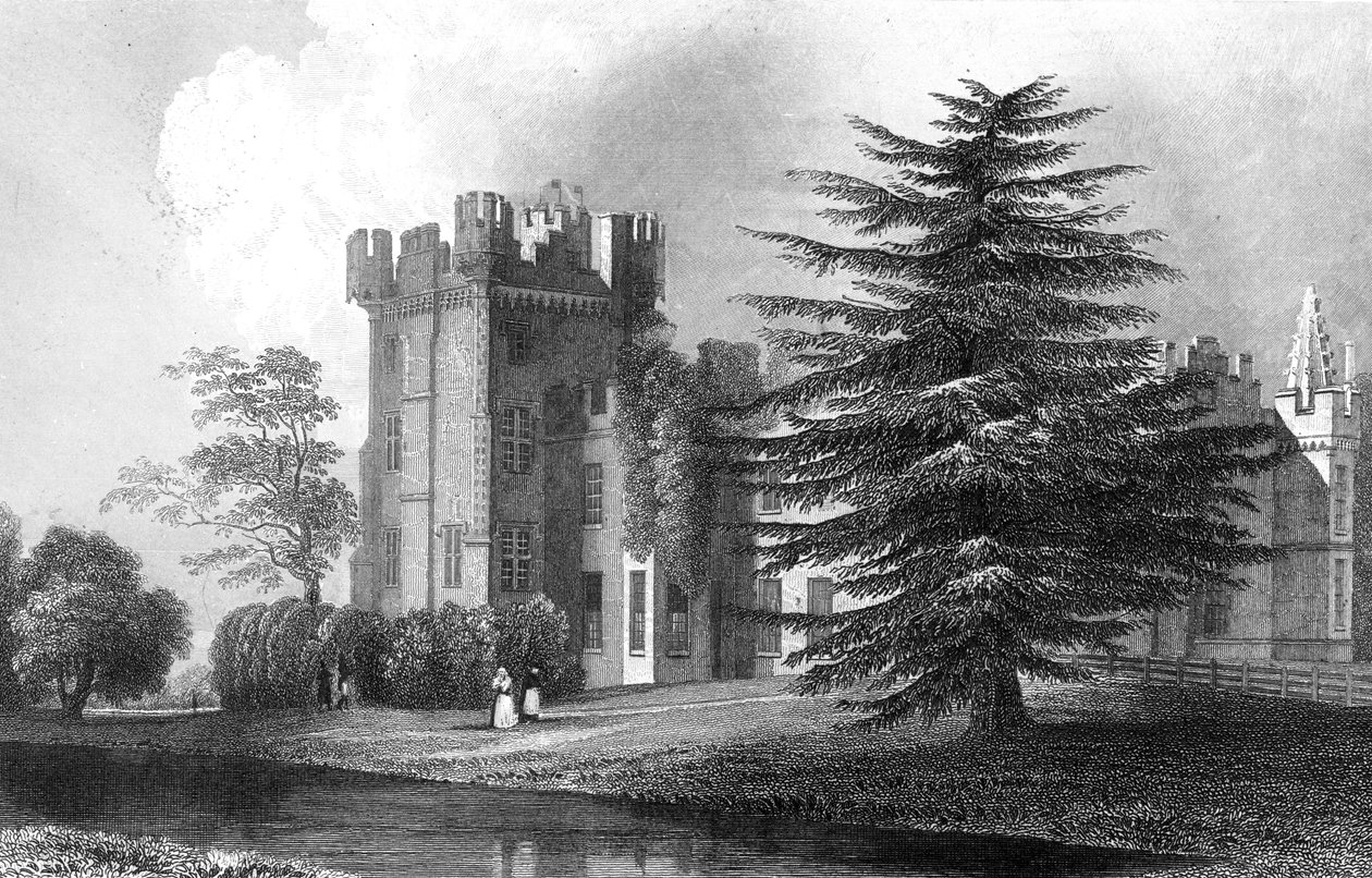 Faulkbourn Hall, cerca de Whitham, Essex, grabado por Henry Wallis, 1832 de William Henry Bartlett