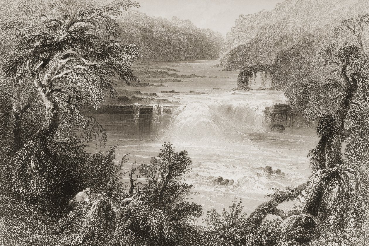 Salto del salmón en Leixlip, Condado de Kildare, de 