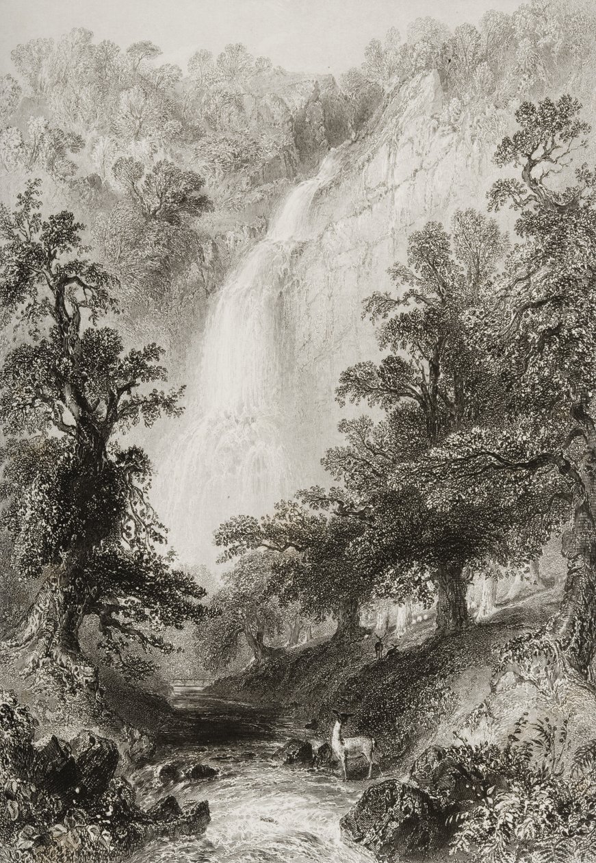 La cascada, Powerscourt, Condado de Wicklow, Irlanda, de 