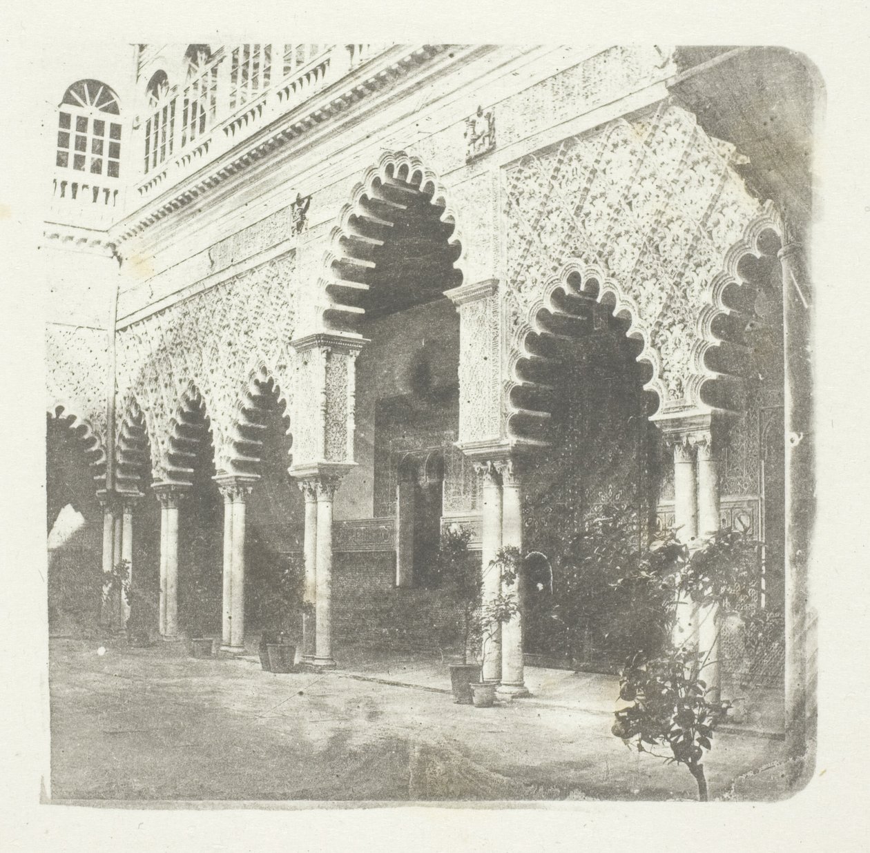 Alcázar de Sevilla de William Henry Fox Talbot