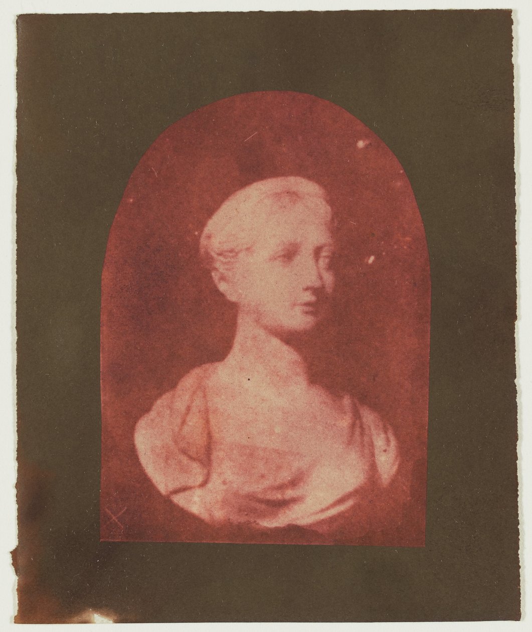 [Büste einer jungen britischen Frau] de William Henry Fox Talbot
