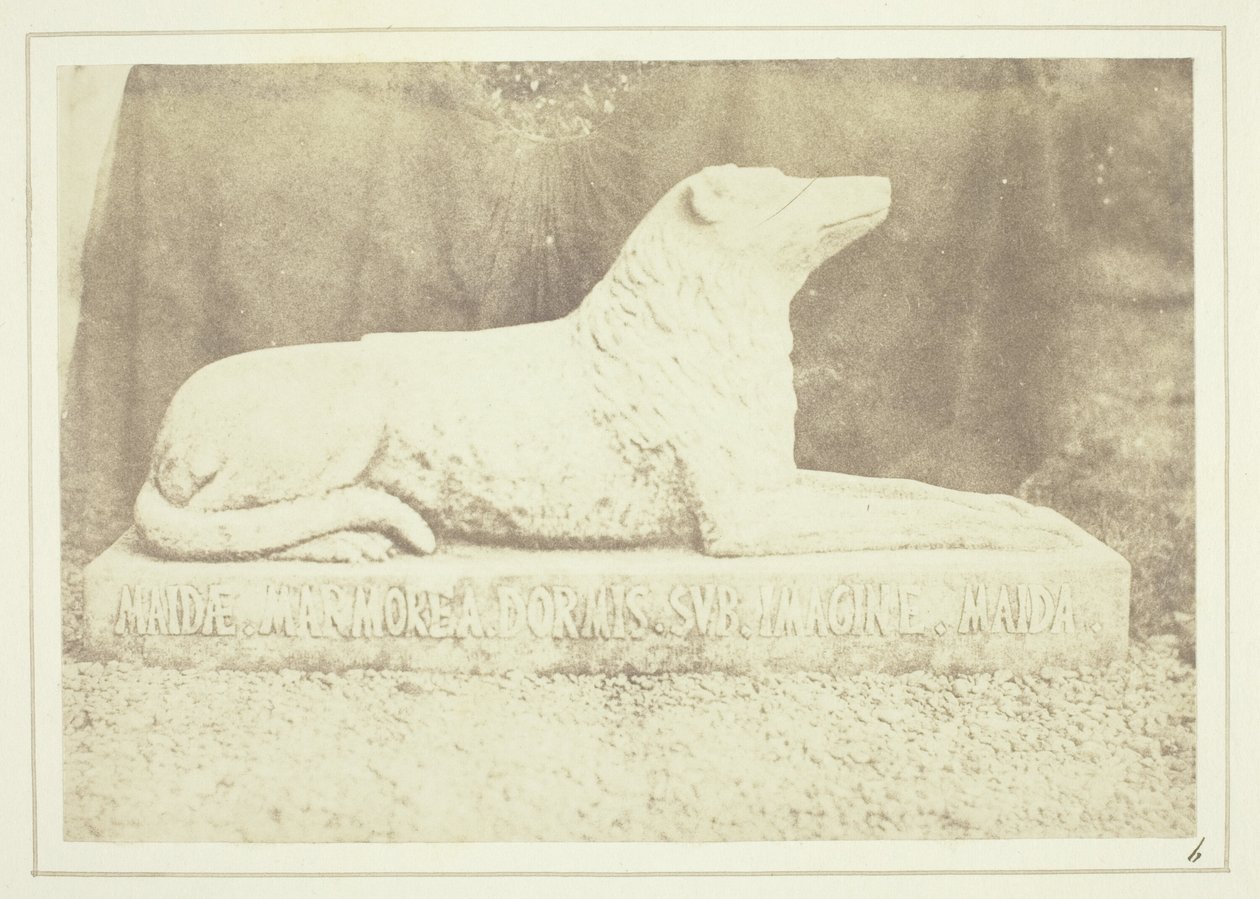Efigie de Maida, la perra favorita de Sir W. Scott, junto a la puerta del vestíbulo de Abbotsford. de William Henry Fox Talbot
