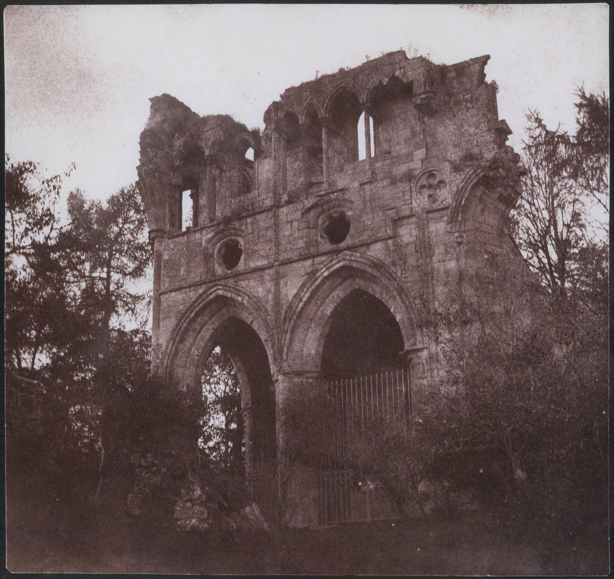  de William Henry Fox Talbot