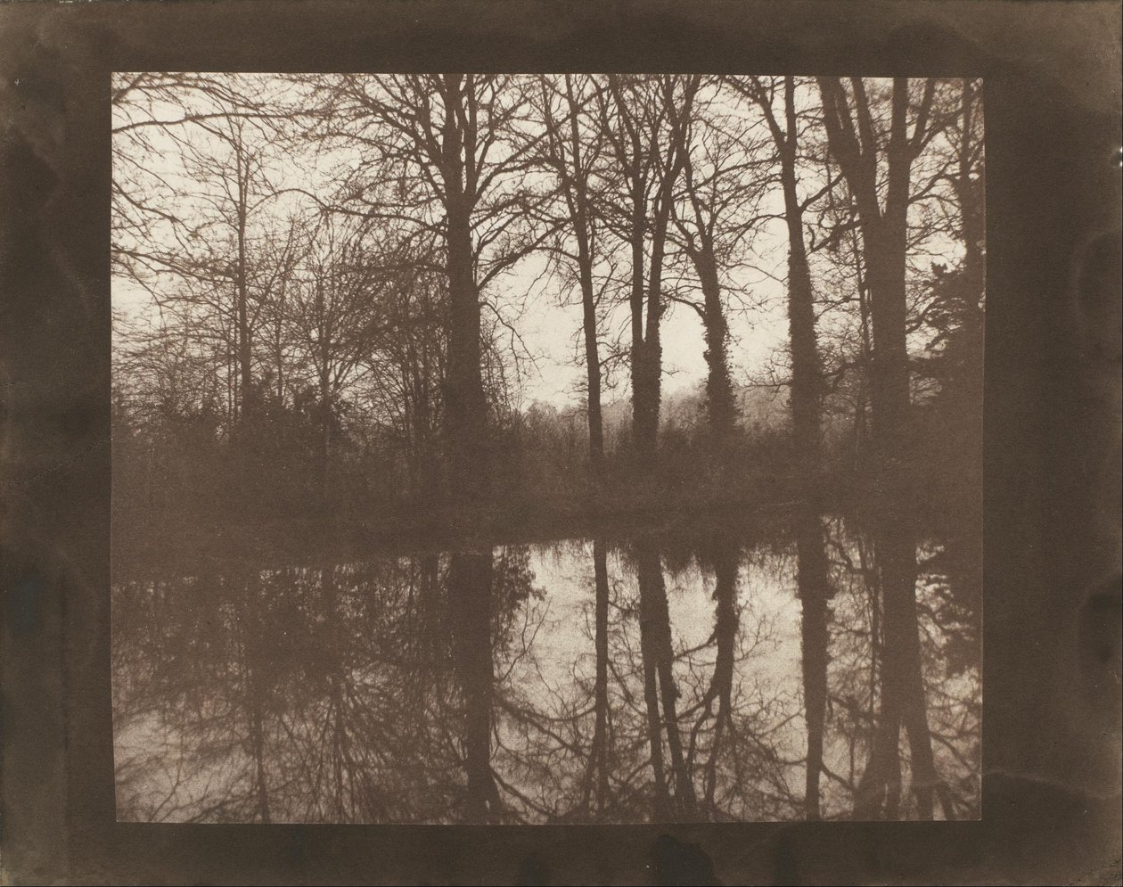 Árboles y reflejos de William Henry Fox Talbot