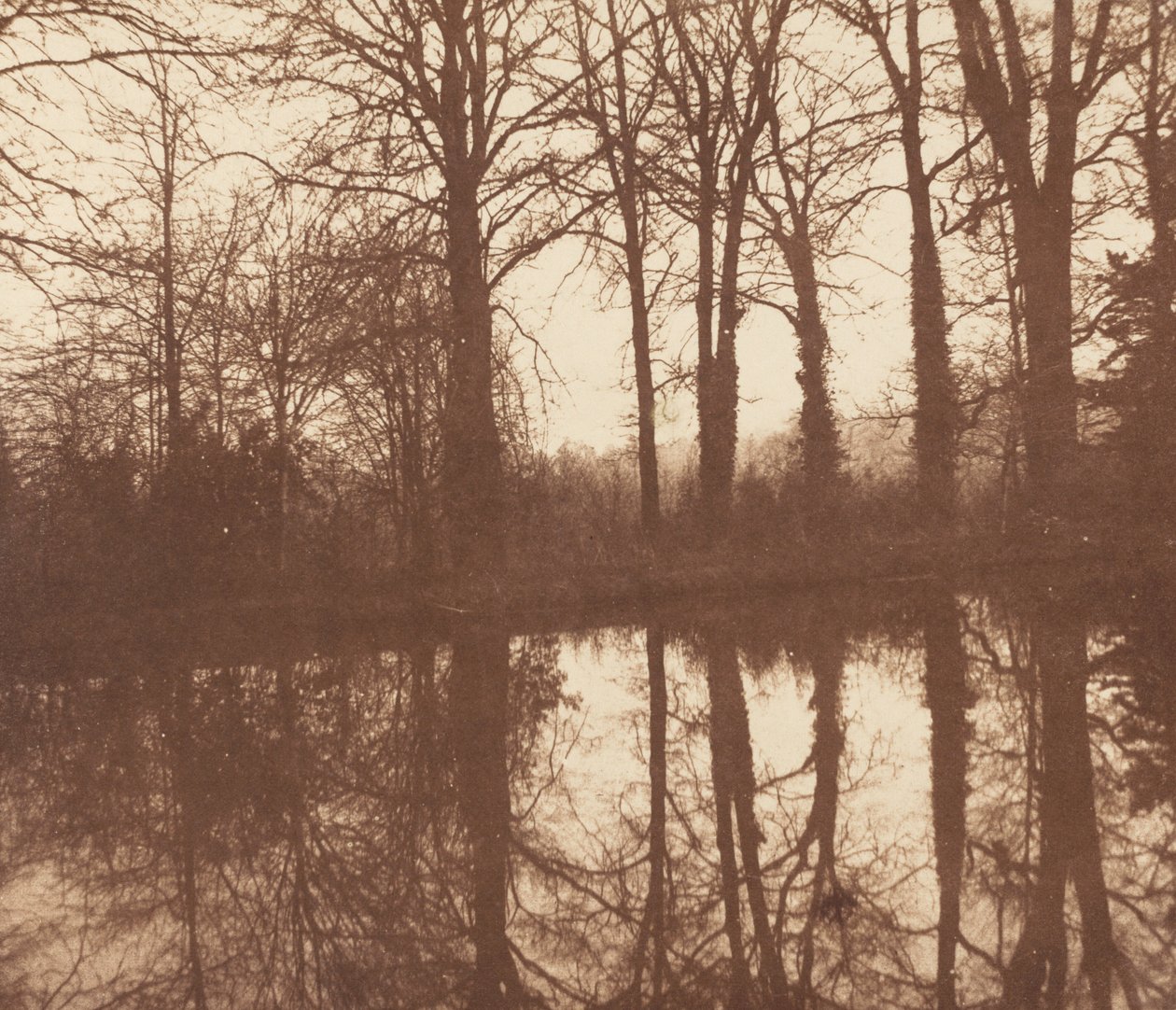 Árboles de invierno, reflejados en un estanque de William Henry Fox Talbot