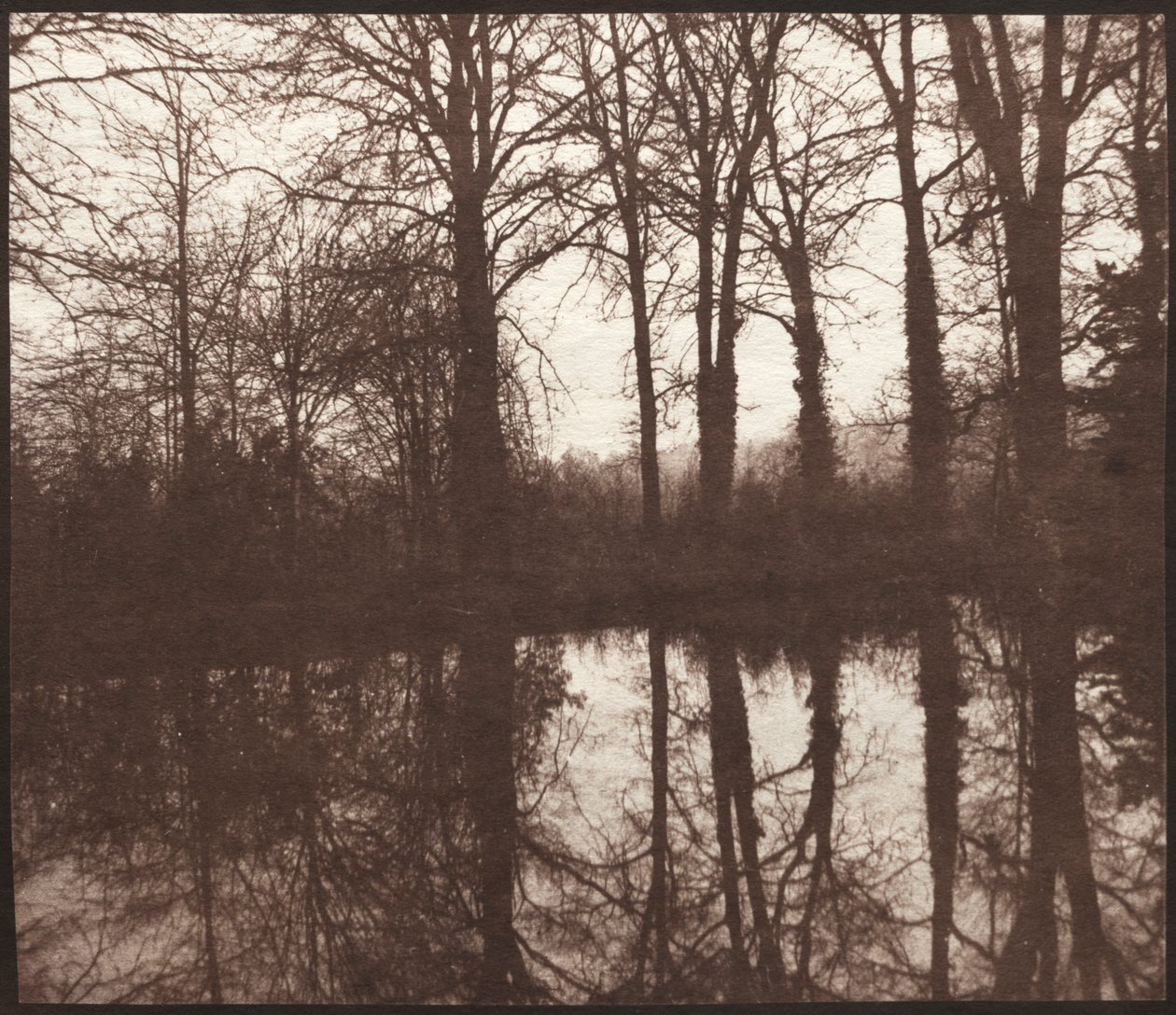 Árboles de invierno reflejados en un estanque, 1841-42 de William Henry Fox Talbot