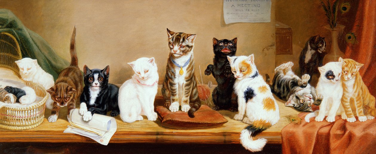 Derechos de las Mujeres - Una Reunión, 1885 de William Henry Hamilton Trood