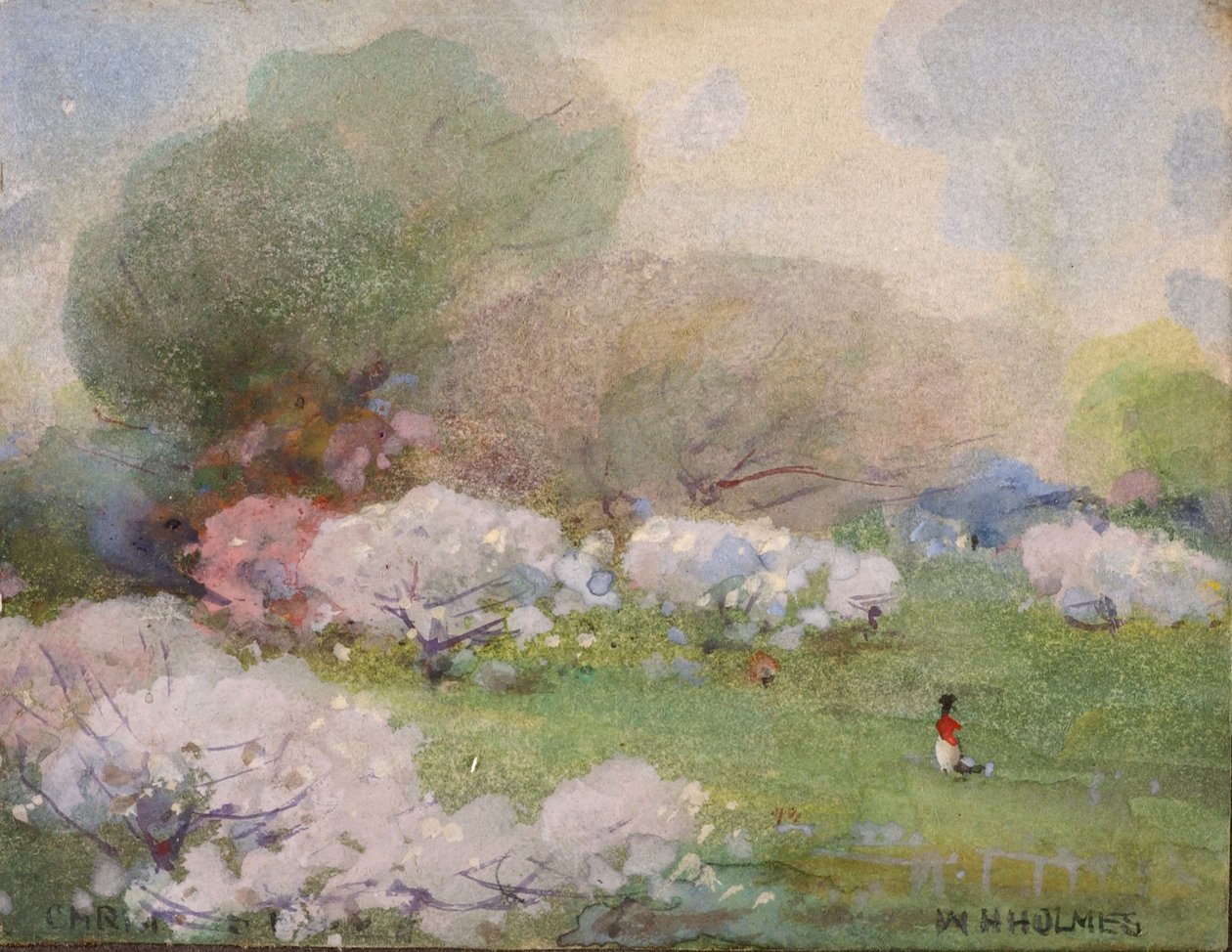Flores de cerezo, s.f. de William Henry Holmes