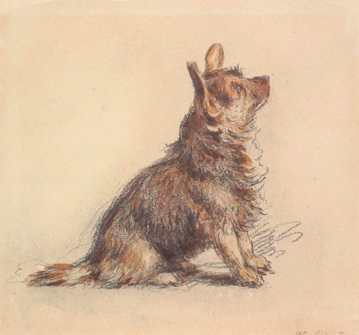 Un terrier sentado, mirando hacia arriba a la derecha de William Henry Hunt