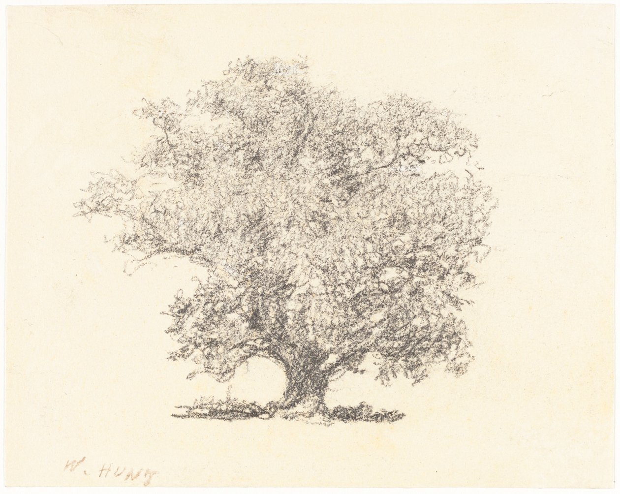 Un árbol con hojas completas de William Henry Hunt