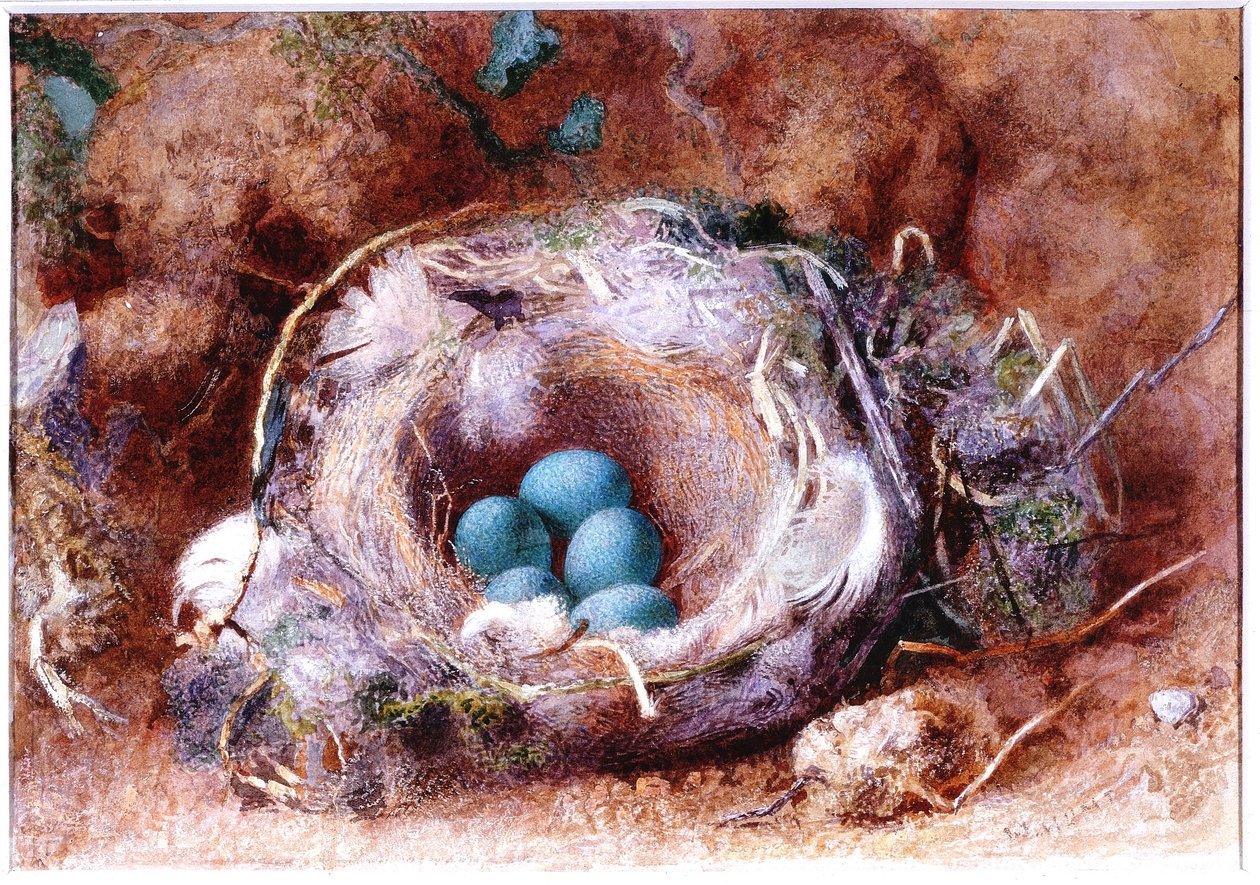 Nido de Pájaros de William Henry Hunt
