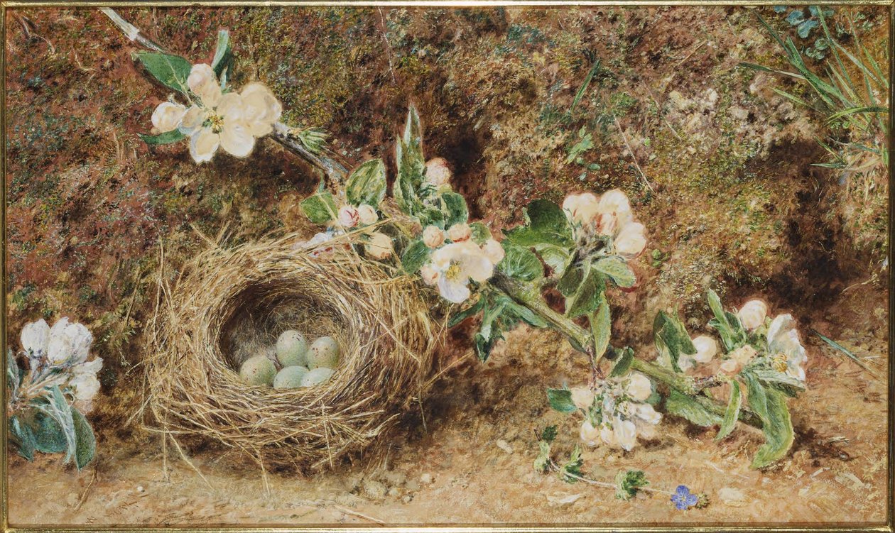 Nido de pájaro y flor de William Henry Hunt