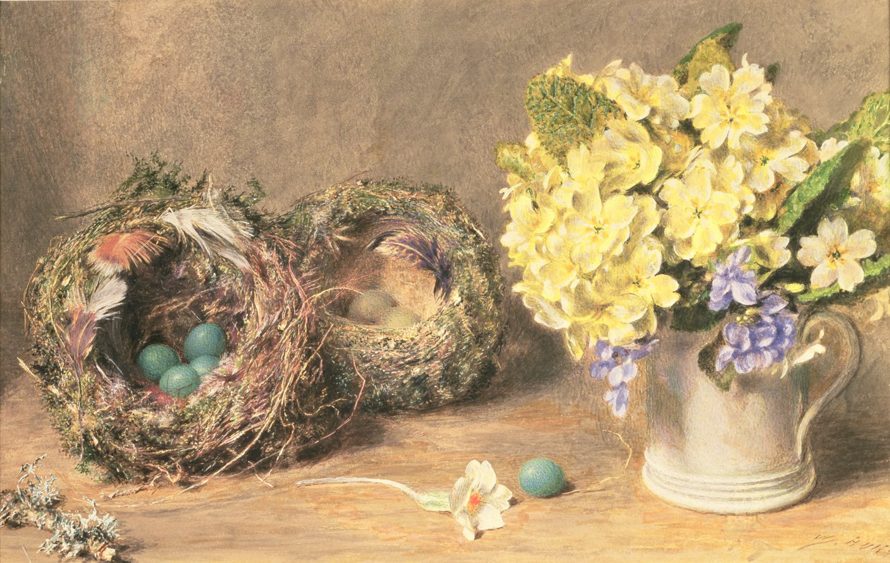 Flores de primavera y nidos de pájaros, c.1830 (acuarela y acuarela sobre papel) de William Henry Hunt