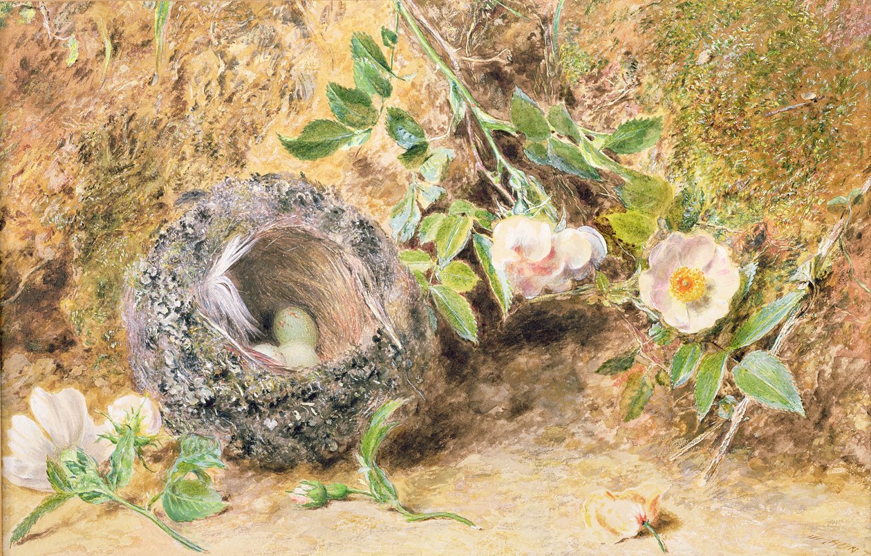 Naturaleza muerta con nido de pinzón de William Henry Hunt