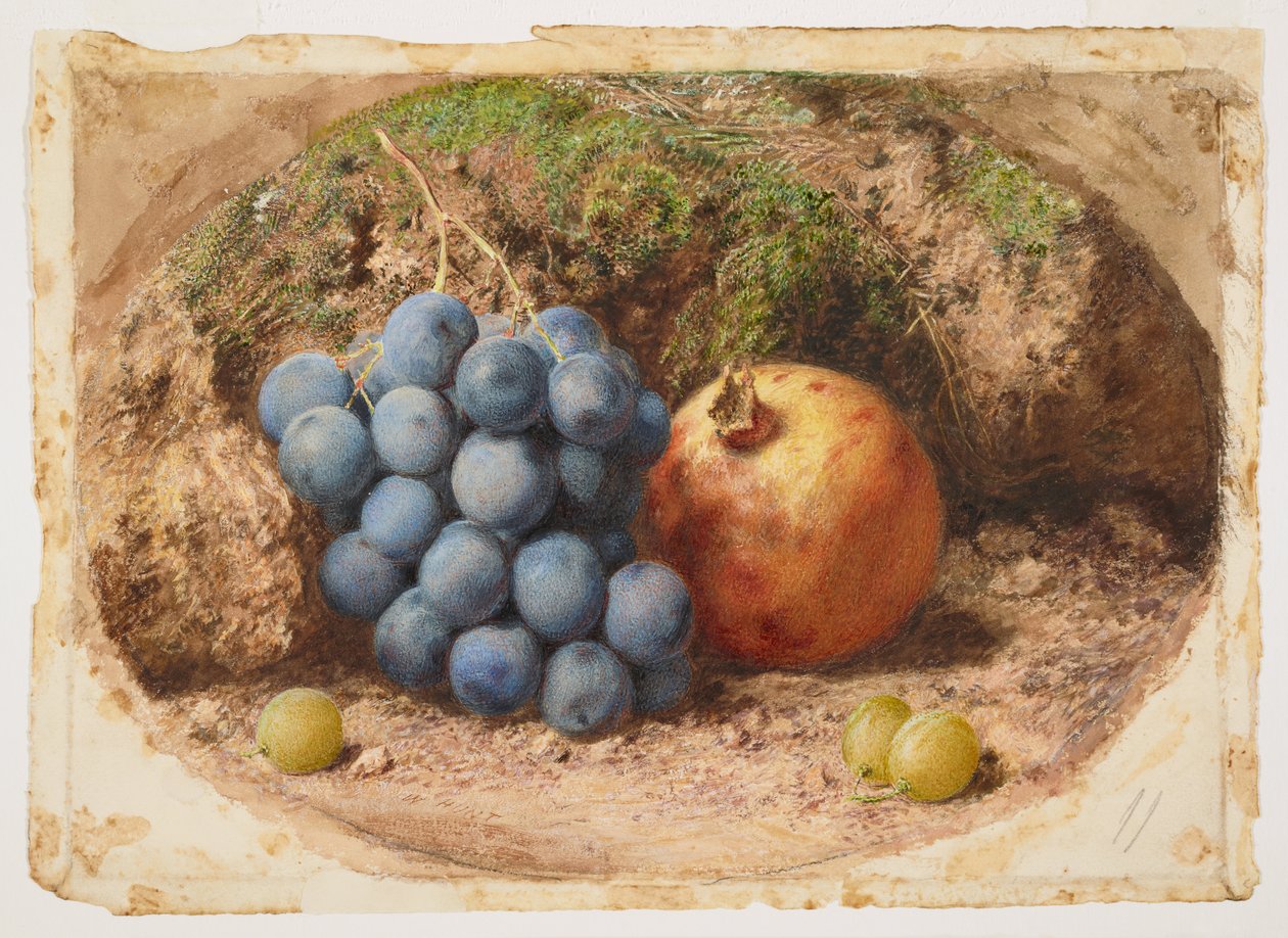 Bodegón con uvas y una granada de William Henry Hunt