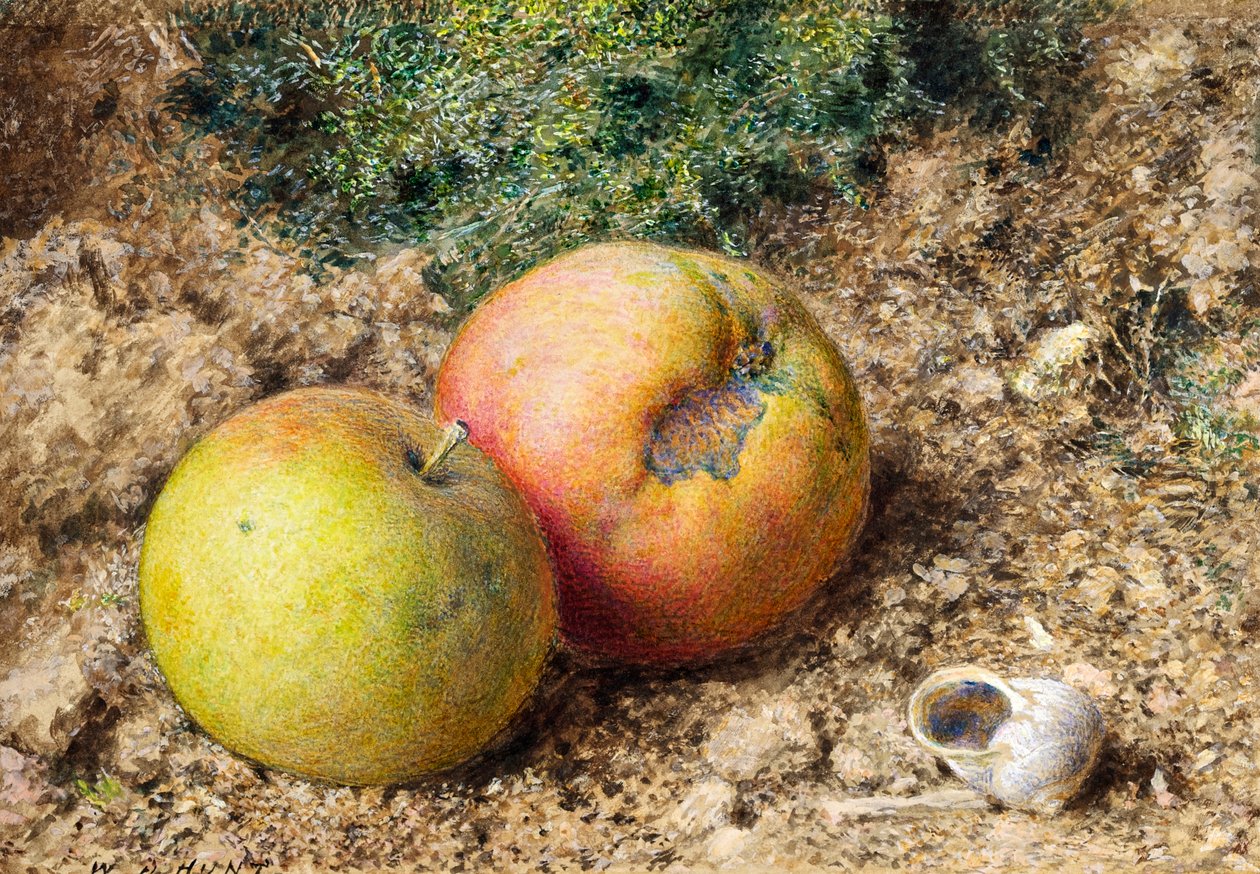 Naturaleza muerta con dos manzanas y una concha de caracol de William Henry Hunt