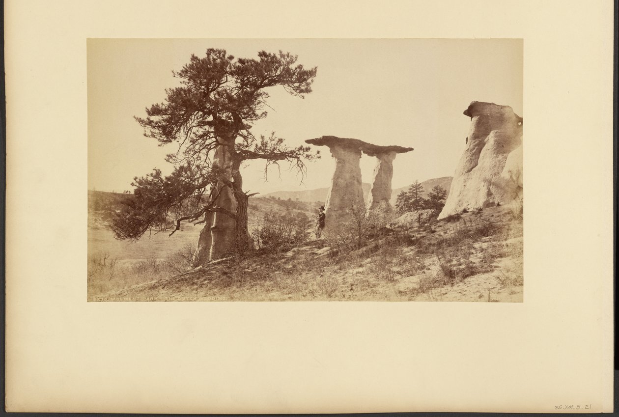 Monument Park, «La boda holandesa» de William Henry Jackson